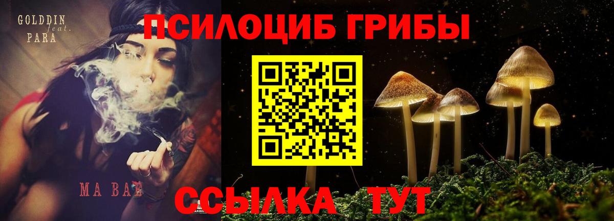 Галлюциногенные грибы прущие грибы Вязники